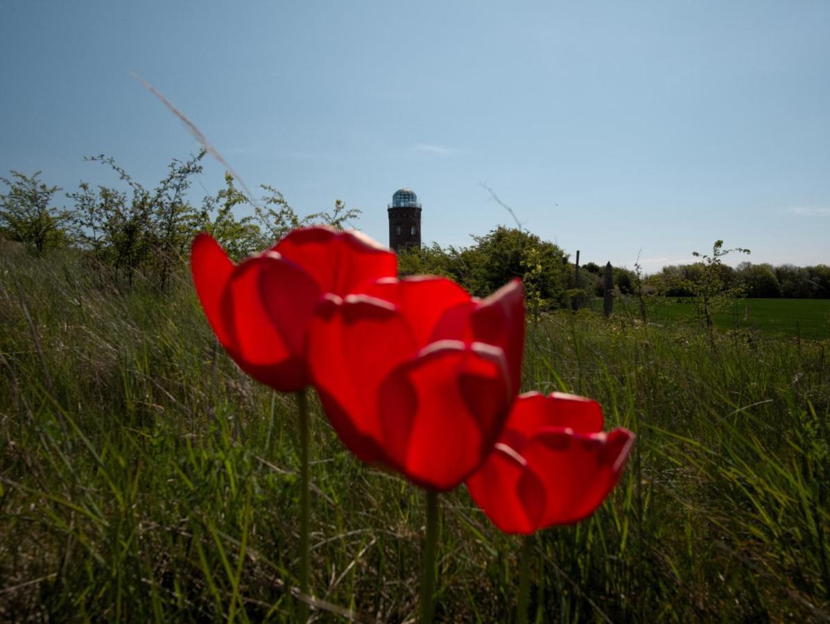 Schoene Ferienwohnung Breege Zewnętrze zdjęcie